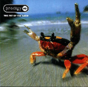 THE PRODIGY CD THE FAT OF THE LAND DISEL POWER - 2860155953