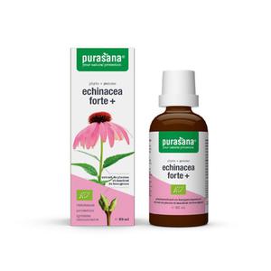 Echinacea Forte Krople Bio 50 ml - Purasana - 2869570561