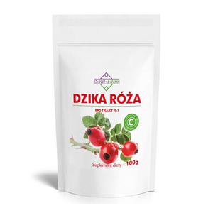 Dzika Ra Ekstrakt 16:1 25% Witaminy C 100 g - Soul Farm - 2869570750