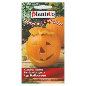 Dynia Olbrzymia - Typ Halloween Nasiona 2 g - PlantiCo - 2869573717