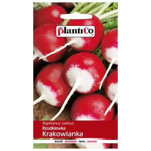 Rzodkiewka Krakowianka Nasiona 10 g - Plantico - 2869573958