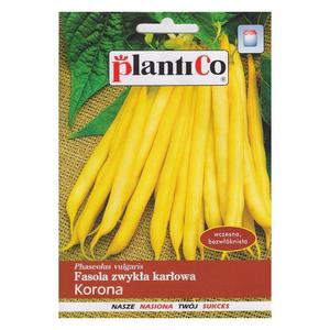 Fasola Zwyka Karowa KORONA Nasiona 40 g - PlantiCo - 2869573965