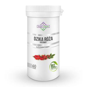 Dzika Ra Ekstrakt 500 mg 60 Kapsuek - Soul Farm - 2872197770