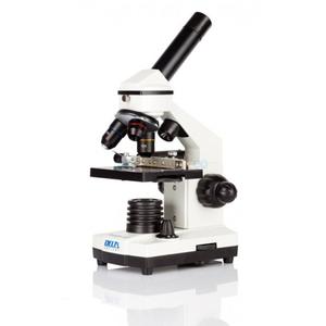 Mikroskop Delta Optical BioLight 200 - 2842137400