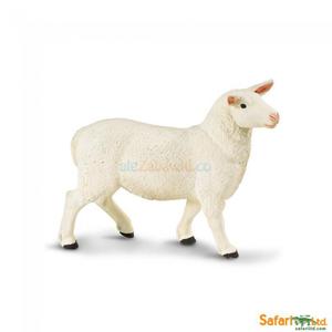 Owca, SafariLtd - 2847416877