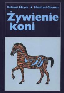 ywienie koni - 2825947579