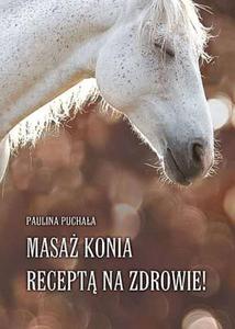 Masa konia recept na zdrowie! - 2825947711