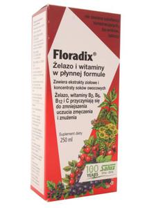 Floradix elazo i witaminy - Salus Haus - 250ml - 2823601921