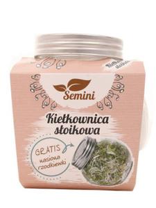 Kiekownica soikowa + nasiona rzodkiewki gratis - Semini - 1szt - 2860110728