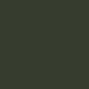 Agama C27 - Grey Green (pmat, 10ml) - 2824104762