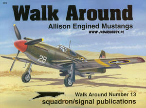 Squadron 5513 - Allison Engined Mustangs Walk Around - 2824107780