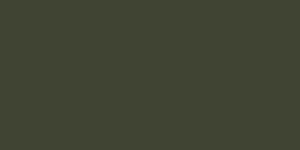 Agama B16 - Light Olive Green (farba akryl 10ml) - 2824108348