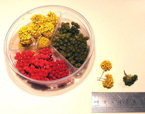 Reality in Scale FLOW01 Natural Flower Bushes - 3 types (1:48~1:16) - 2824114153