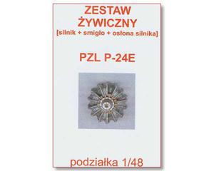 Techmod Resin - Silnik do PZL P-24E (1/48) - 2824101059