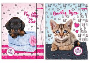 Teczka z gumk dla dzieci sweet pets - 2858923924