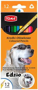 Kredki owkowe szkolne Toma 12 kolorw Edzio - 2862717036