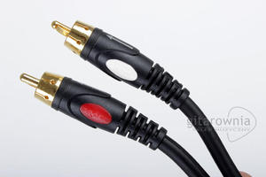 Proel Przewd audio 2 x RCA (cincz) - 2 x RCA (cincz)   3m DH505LU3 - 1745881155