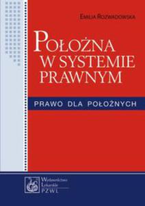 Poona w systemie prawnym - 2848584346