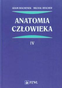 Anatomia czowieka Tom 4 - 2848585552