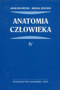 Anatomia czowieka Tom 4 - 2848588900