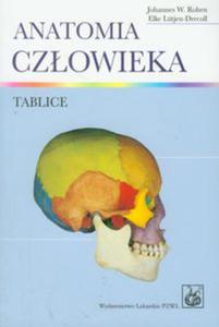 Anatomia czowieka Tablice