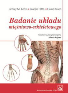 Badanie ukadu miniowo-szkieletowego - 2848589878