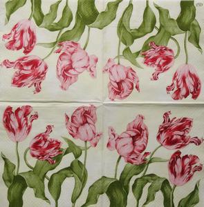 SERWETKA TULIPANY SDL023000 - 2869464461
