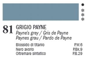 VAN DYCK 60 ML. FERRARIO 81 PAYNES GREY - 2869465729