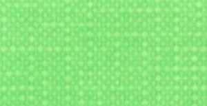 APA COLOR 150 ML MATT FERRARIO 011 LIGHT GREEN - 2869466629