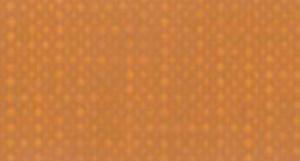 APA COLOR 150 ML MATT FERRARIO 015 RAW SIENNA - 2869466631