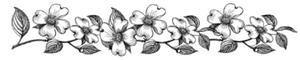 KAUCZUKOWY STEMPEL KWIATY 4X18 CM STAMPERIA WTKCC77 - 2869466652