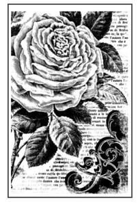 KAUCZUKOWY STEMPEL RӯA, TO 7X11 CM STAMPERIA WTKCC72 - 2869466654
