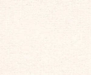 PAPIER TIZIANO 160 G 100X70 CM AVORIO - 2869467116