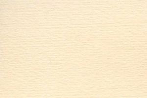 PAPIER TIZIANO 160 G 100X70 CM BANANA - 2869467117