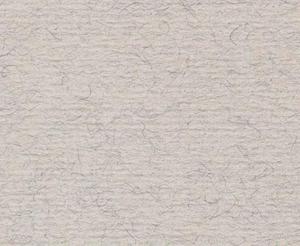 PAPIER TIZIANO 160 G 100X70 CM CHINA - 2869467148