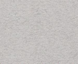 PAPIER TIZIANO 160 G 100X70 CM NEBBIA - 2869467149