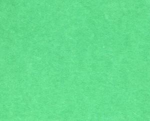 PAPIER FABRIANO COLORE 200 G 100 X 70 CM VERDE - 2869467353