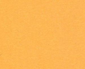 PAPIER FABRIANO COLORE 200 G 100 X 70 CM AVANA - 2869467365