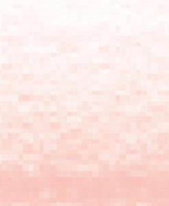 TOISON DOOR 8500 KOH I NOOR 100 REDDISH FLESH - 2869467612