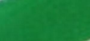MADISI 40 ML. 565 CADMIUM GREEN - 2869468402