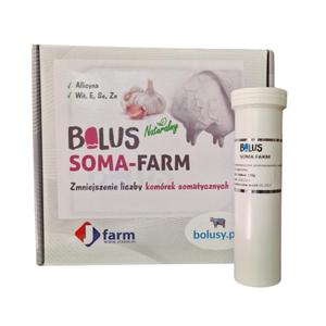 JFarm Bolus Soma Farm Czosnkowy, bolus dla krw, 1 sztuka 158 g - 2874511992