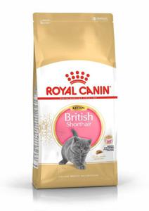 Royal Canin FBN British Shorthair Kitten, sucha karma dla kotw rasy brytyjski krtkowosy, 2 kg - 2870980482