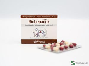 Biowet Biohepanex, suplement na wtrob dla psw i kotw, 40 kapsuek - 2870980665