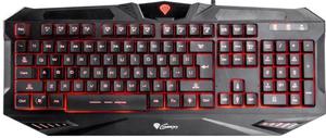 GENESIS KLAWIATURA GAMING RX39 PODWIETLANA US LAYOUT - 2847300879