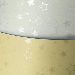 Papier ozdobny ARGO 220g. - stars srebro - 2860632482