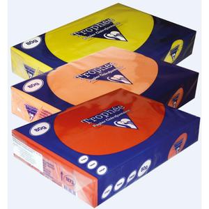 Papier xero A4 kolor TROPHEE int. - winiowy - 2825403125