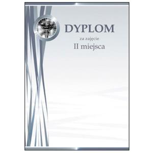 Dyplom A4 - Puchar Srebrny 170g. - 2825404552