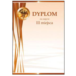 Dyplom A4 - Puchar Brzowy 170g. - 2825404553