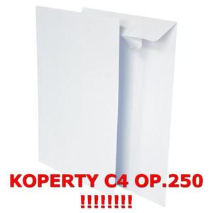 Koperty C4 HK biaa op.250szt. - 2847290240