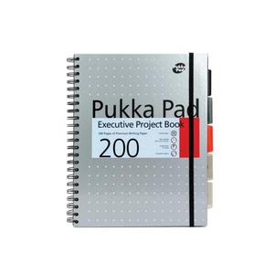 Koonotatnik PUKKA PAD P.Book Metallic A4 = - 2847290826